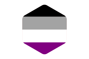 无性恋群体旗帜圆形六边形