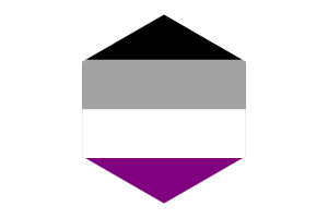 无性恋群体旗帜六边形