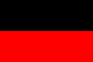 德拉维达进步联盟的旗帜