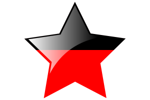 德拉维达进步联盟旗帜星图标