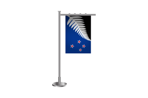 3d 新西兰站旗