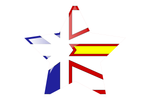 纽芬兰和拉布拉多旗帜星图标