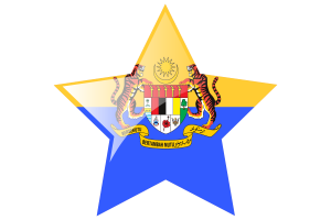 马来西亚副元首旗星图标