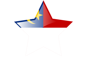 马六甲旗帜星图标