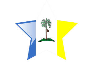 槟城旗帜星图标