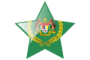 马来西亚最高元首后旗星图标