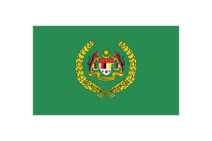 马来西亚最高元首后旗矢量插图