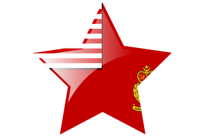 马来西亚军旗星图标