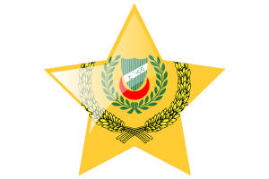 吉打州苏丹旗帜星图标