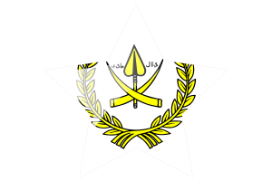 彭亨州苏丹旗帜星图标