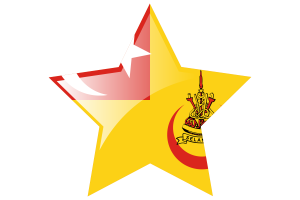 雪兰莪苏丹旗帜星图标