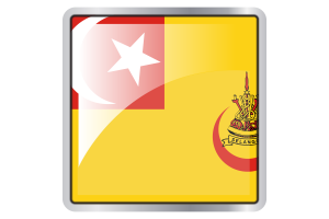 雪兰莪苏丹旗帜广场图标