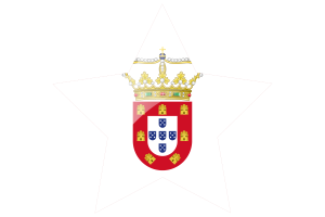 葡萄牙马六甲旗帜星图标