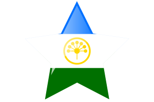 巴什科尔托斯坦旗帜星图标