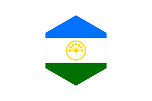 巴什科尔托斯坦旗帜六边形