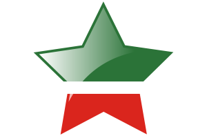 车臣旗帜星图标