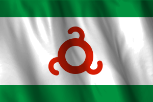 印古什旗帜