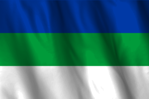 科米共和旗帜帜