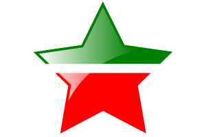 鞑靼斯坦旗帜星图标