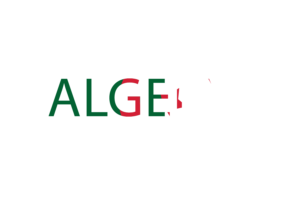 阿尔及利亚文字艺术