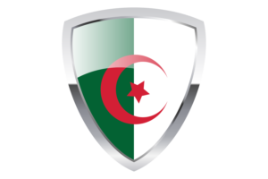 阿尔及利亚盾旗