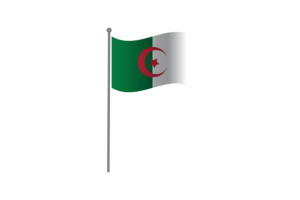 挥舞着阿尔及利亚国旗