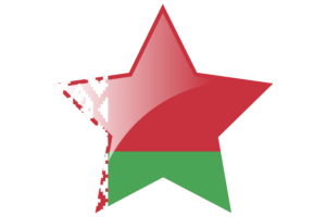 白俄罗斯国旗星图标