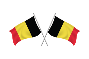 比利时挥舞友谊旗帜