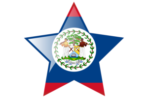 伯利兹国旗星图标