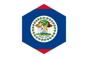 伯利兹国旗六边形