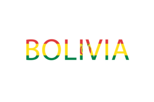 玻利维亚文字艺术
