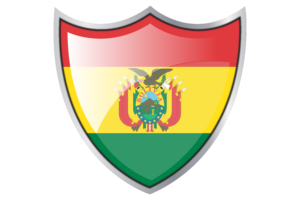 盾牌与玻利维亚国旗