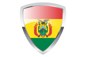 玻利维亚盾旗