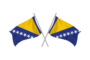 波斯尼亚和黑塞哥维那挥舞着友谊旗帜