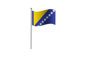 挥舞着波斯尼亚和黑塞哥维那的旗帜