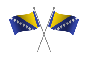 波斯尼亚和黑塞哥维那友谊旗帜