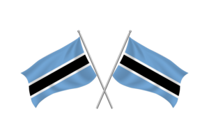 博茨瓦纳挥舞友谊旗帜
