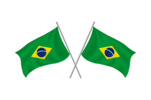 巴西挥舞友谊旗帜