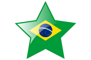 巴西国旗星图标