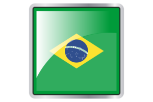 巴西国旗广场图标