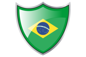盾牌与巴西国旗