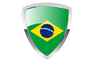 巴西盾旗
