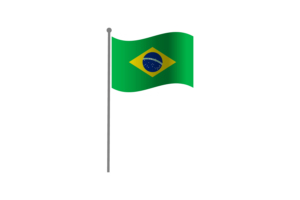 挥舞着巴西国旗