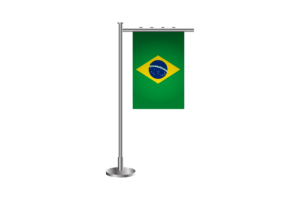 3d 巴西站立旗