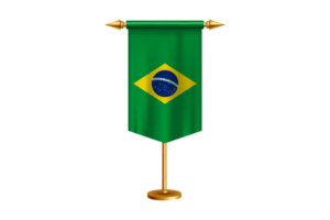 巴西国旗插图与立场