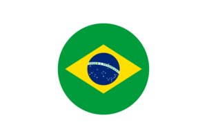巴西国旗矢量免费下载