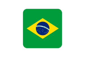巴西国旗方形圆形