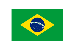 巴西国旗三角形矢量插图