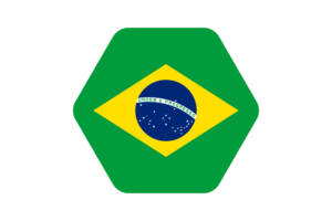 巴西国旗矢量插图