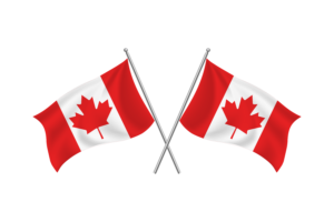 加拿大挥舞友谊旗帜